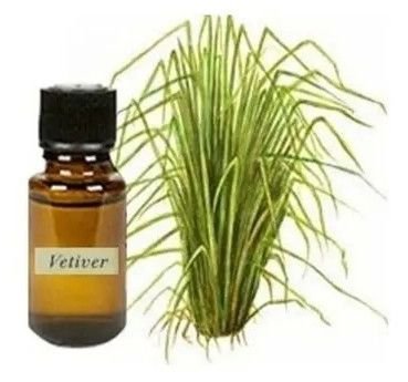 Vetiver Oil