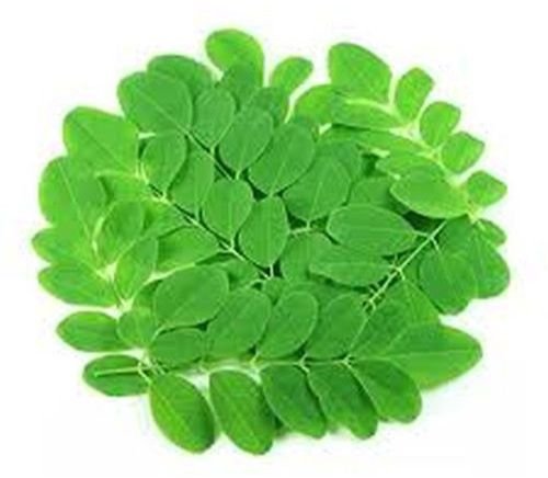 Fresh Moringa Leaves