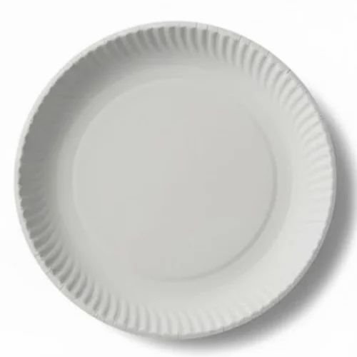 Biodegradable Paper Plate