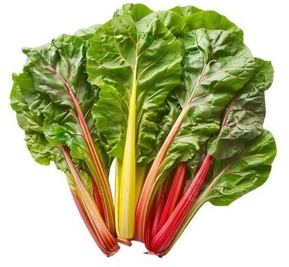 A Grade Fresh Swiss Chard