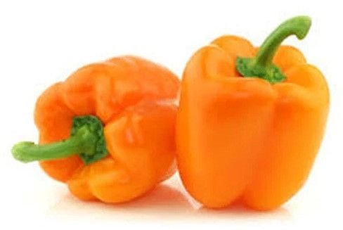 Fresh Orange Bell Pepper