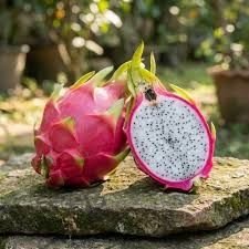 Natural Fresh Dragon Fruit