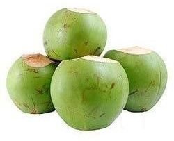 Organic Fresh Tender Coconut