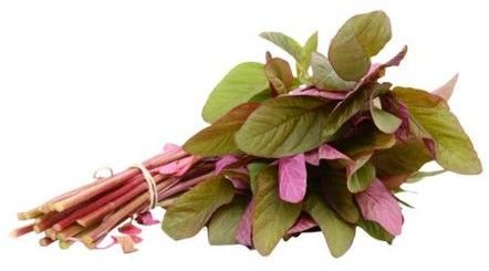 Fresh Amaranth Leaves
