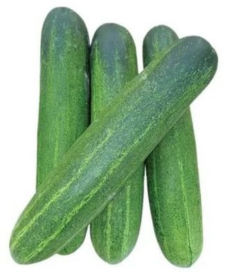 Fresh Cucumber