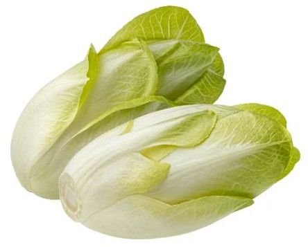 Fresh Endive
