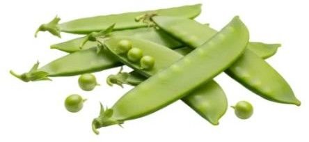 Fresh Garden Peas