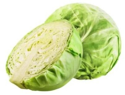 Fresh Green Cabbage