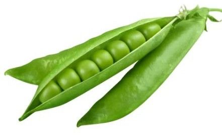 Fresh Green Peas