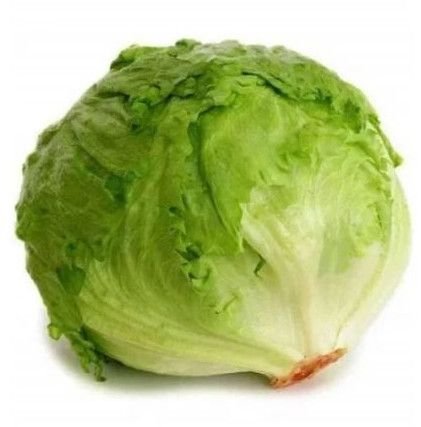 Fresh Iceberg Lettuce