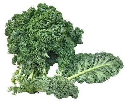 Fresh Kale Leaves