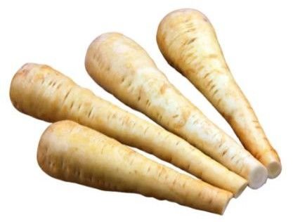 Fresh Parsnip Radish