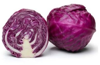 Fresh Red Cabbage