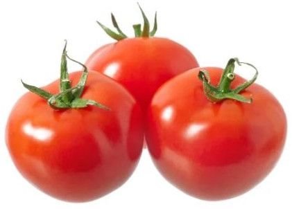 Fresh Tomato