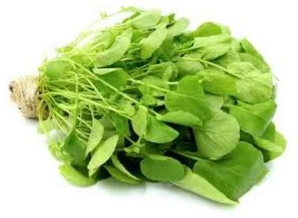 Fresh Upland Cress Leaves