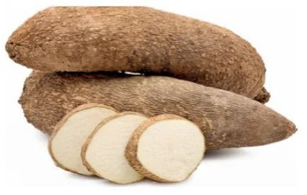 Fresh Yam Roots