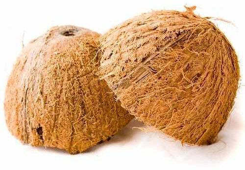 Dehusked Coconut Shell