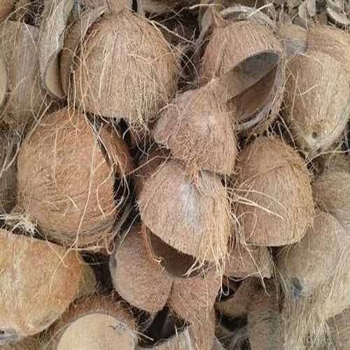 Raw Coconut Shell