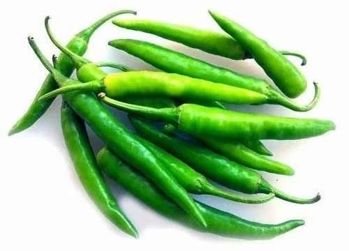 Premium Fresh Green Chilli