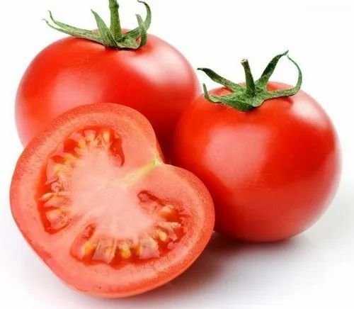 Premium Fresh Red Tomatoes