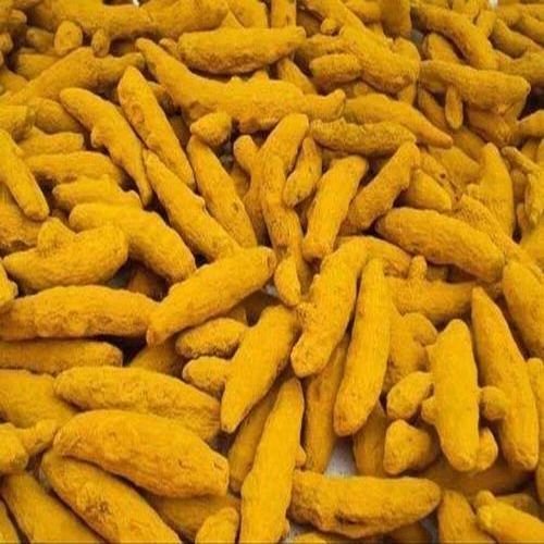 A Grade Turmeric Finger