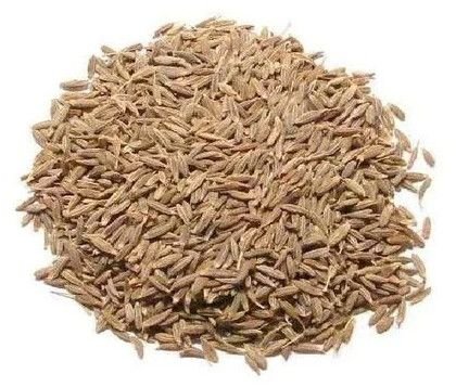 Cumin Seed