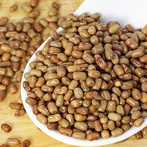 Moth Beans