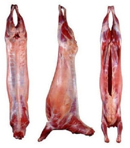 Frozen Goat Full Carcass