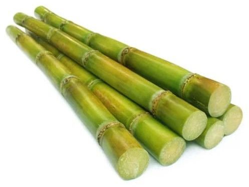 Fresh Sugarcane