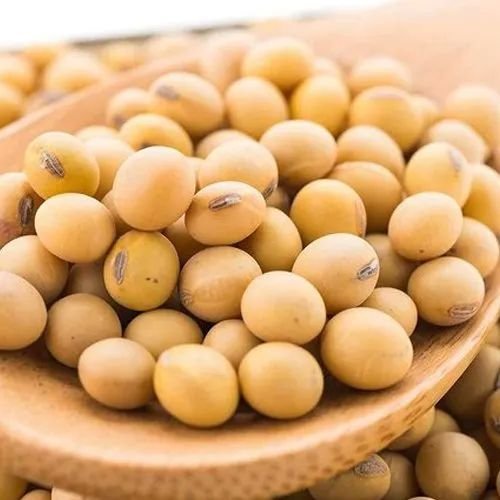 Raw Soybean Seeds
