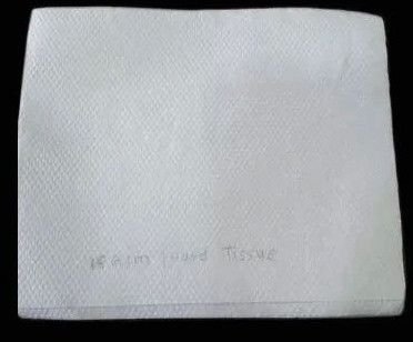 CC150 Soft Paper Napkin