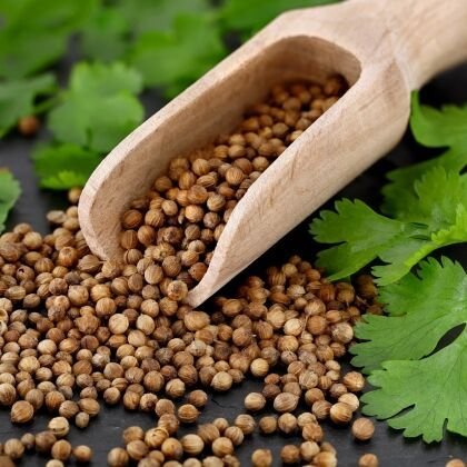 Coriander Seeds