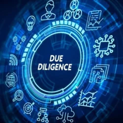 Real Estate Due Diligence Services