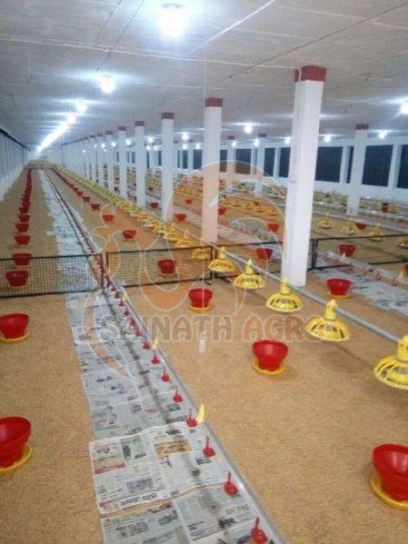 Auto Feeding System