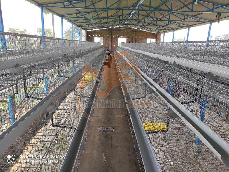 Poultry Layer Cages
