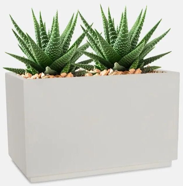 Rectangular Indoor Planters