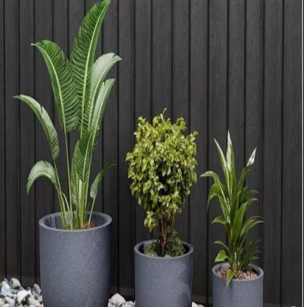 Round Indoor Planters