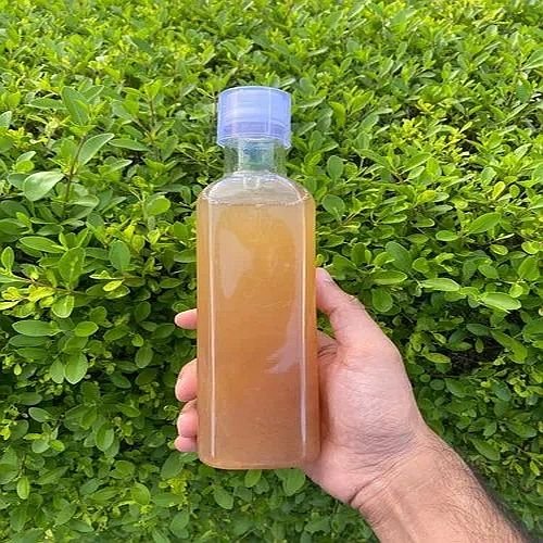 Apple Cider Vinegar