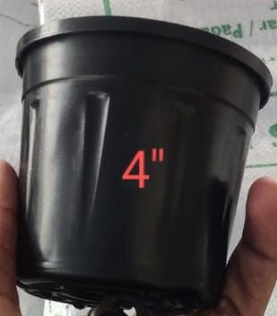4 Inch Plastic Nursery Pots