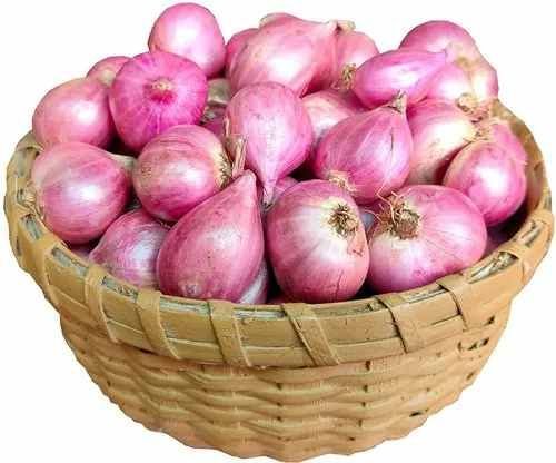 A Grade Dry Shallots Onion