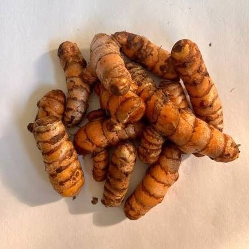 Fresh Turmeric Finger