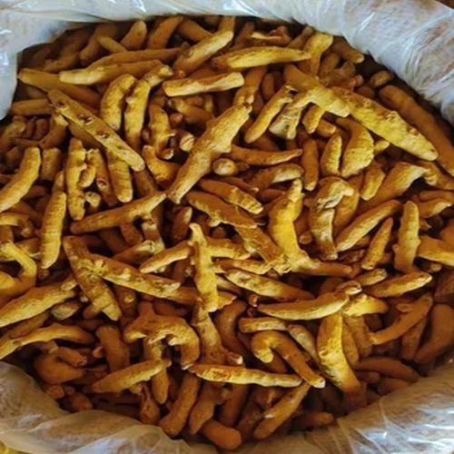 Kandhamal Turmeric Finger