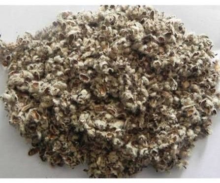 Cotton Seed Hull
