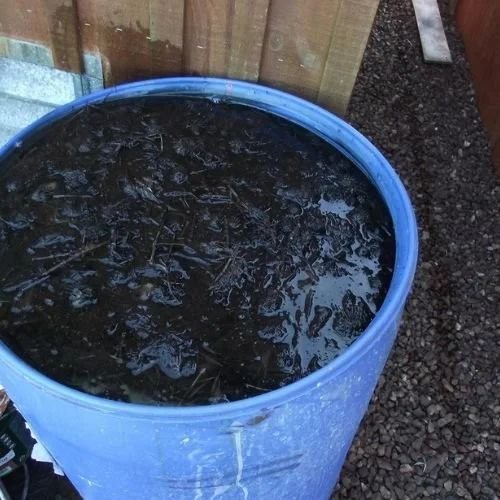 Liquid Cow Dung Fertilizer