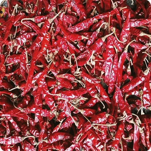 Dried Red Chilli