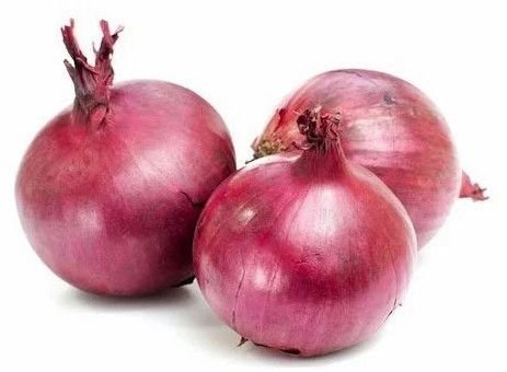 45mm  Fresh Red Onion