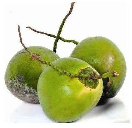 A Grade Solid Green Tender Coconut