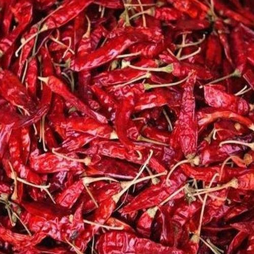 Dried Red Chilli