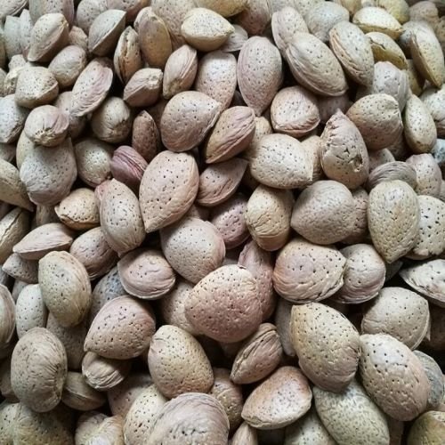 Nonpareil Shelled Almonds