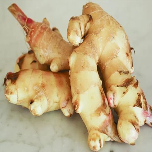 Fresh Brown Ginger